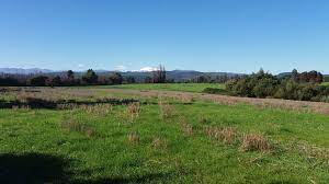 Check spelling or type a new query. Parcela Agricola En Venta Coihueco Chillan Propiedades Torrealba