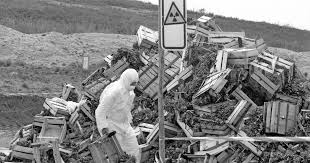 The resulting fires and nuclear fallout spurred a crisis for. Chernobyl Horrifying Photos Of Chernobyl Nuclear Plant Accident And Its Aftermath Cbs News