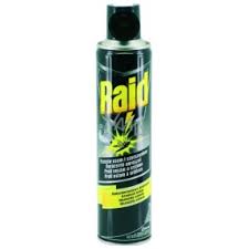 Spectracide is highly affordable and comes in a 12 pack of 20 ounce spray cans. Raid Anti Wasp And Hornet Spray 300 Ml Vmd Parfumerie Drogerie