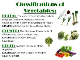 All flowers no matter what they smell like or look like have the same parts. Classification Of Fruits Ppt