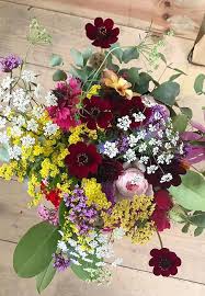 Try planting seeds every few weeks to extend your growing season and remove diseased plants. Grow A Cut Flower Garden For Homegrown Bouquets Lovely Greens