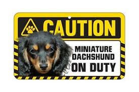 Safetysign.com's selection of beware of dog signs and guard dog signs will help you secure your property and warn potential intruders. Dog Sign Caution Beware Dachshund Ebay
