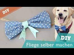 ➡ wir haben leckere, einfache rezepte im tractive blog für dich zusammengestellt! Fliege Schleife Ohne Nahen Hunde Diy Selber Machen Hundekanal Youtube Selber Machen Hund Hund Diy Hundefliege