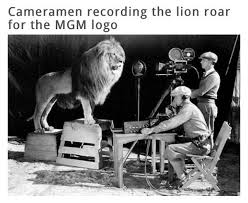 Play mgm roaring lion sound: Luke Smith On Twitter Cameramen Recording The Lion Roar For The Mgm Logo Wow A Moment So Many Of Us Have Seen From Their Angle Http T Co 8xg9pxecy7