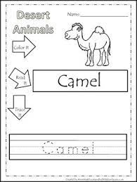 Free desert worksheets for kids. Desert Printables Worksheets Teachers Pay Teachers