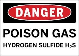 Image result for H2s