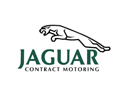 Tiger vector icon isolated on transparent background, tiger logo concept. Jaguar Logo Png Transparent Svg Vector Freebie Supply