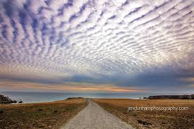 Check spelling or type a new query. 4 Types Of Visual Rhythm In Photography And How To Create Maximum Impact