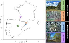 Biografía, trayectoria, fotos, vídeos y mucho más de miguel esteban. Spontaneous Forest Regrowth In South West Europe Consequences For Nature S Contributions To People Martin Fores 2020 People And Nature Wiley Online Library