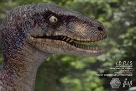 Image result for Huaceae