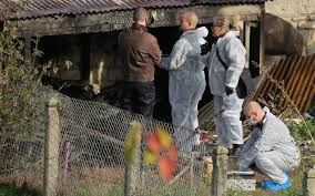 Un adolescent de 15 ans a avoué le meurtre d'une octogénaire, retrouvée  violemment agressée près d'un camping du Gard. Le mineur, inconnu des  services de justice, a reconnu les faits lors de