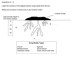 Ielts Reading Labeling A Diagram Tips And Strategy Ielts