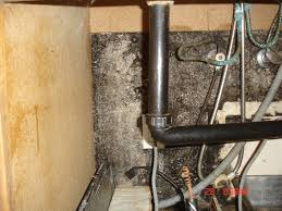 This Is In A Cabinet Under A Kitchen Sink You Should See White Painted Drywall Not Green And Black Mold Kitchen Sink Molding Sink