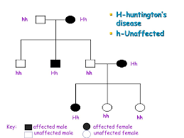 ppt pedigree charts powerpoint presentation free download