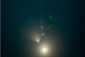 20 most infamous celebrity camel toes moment ever. William Trubridge Reaches For Another World Record In Freediving