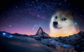 1920x1080 full hd, 1080p, 1366x768 hd, 1280x1024 5:4 desktop display, 1440x900. 1080x1080 Doge Dog Drone Fest