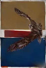 Dynamic Paintings Of Birds Capture The Essence Of Flight My Modern Metropolis Birds Flying Dynamic Painting Birds Painting