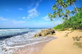 Wallpaper abyss earth beach 4k ultra hd. Beach 4k Pc Download Hd 1080p 2k 4k 5k Hd Wallpapers Free Download Wallpaper Flare