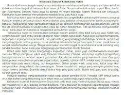 Tesis Argumentasi Recimendasi Dari Teks Indonesian Darurat Kebakaran Hutan Brainly Co Id
