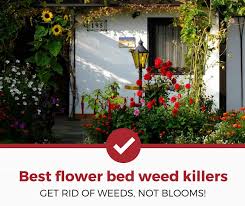 Begin with a thorough watering to soften the planned garden area. Top 4 Best Weed Killers For Flower Beds 2021 Review Pest Strategies