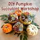 Create a Beautiful Fall Succulent Pumpkin Centerpiece! event image