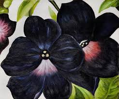 Georgia O Keeffe Black And Purple Petunias Paintings Georgia O Keeffe Black And Purple Petunias Pa Georgia Okeefe Georgia O Keeffe Georgia O Keeffe Paintings