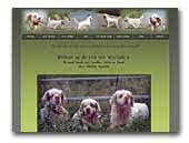 There are no clumber spaniel puppy announcements currently. Clumber Spaniel Breeders And Kennels Eurobreeder Com
