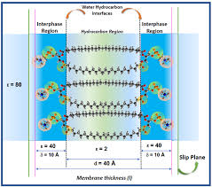 Just Mix It Up: New Synthetic Method For Making Amphiphilic Molecules  Without Additives | Tokyo Tech News | Tokyo Institute Of Technology