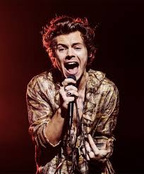 Helene Marie Pambrun Is A Goddess Harrystyles Live On Tour Singapore Harry Styles Live Harry Styles Photos Harry Styles Pictures