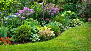 Essas flores vão deixar seu jardim incrível em qualquer estação - Estado de  Minas - Em foco