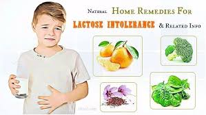 21 Natural Home Remedies For Lactose Intolerance Related Info Is A New Article With In 2020 Lactose Intolerance In Children Lactose Intolerant Natural Home Remedies