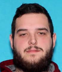 Michigan trooper killed by minivan