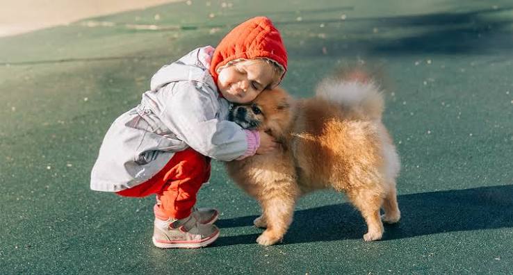 The 20 Best Small Dogs for Kids and Families - PureWow