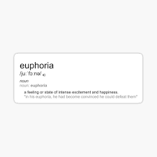Aesthetic Definition Stickers Redbubble
