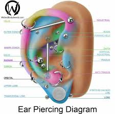 Helix Tragus Conch Standard Lobe Snug Of All These