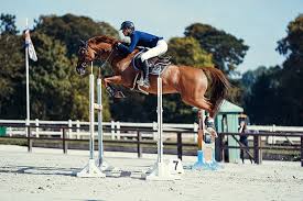 We don't have a biography for benoît petitjean. Benoit Petitjean Gewinnt Den 2 Grand Prix Von Jardy Racer