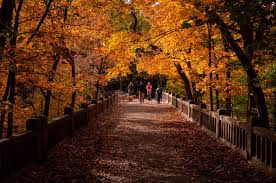 Northern illinois is a region generally covering the northern third of the u.s. 4 State Parks You Need To Visit In Illinois Camping World