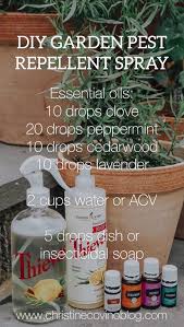 The soap itself penetrates insects' cuticles, which causes cell collapse and desiccation. Diy Organic Garden Pest Spray Christine Covino