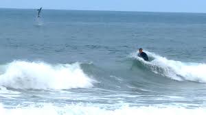 Juvenile Great White Shark Launches Behind Bodyboarder in Newport Beach (Video)