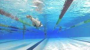 Liquid cooling components for the highest performance and unlimited customization. Nieuws News Lisakruger Nl