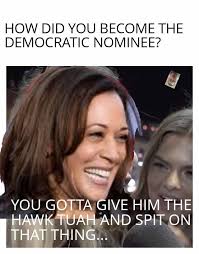 Vice President Kamala Harris says...