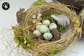 Diy Vogelnest Aus Naturmaterial Selber Machen Aus Trockenem Gras Moos Durrem Laub Etwas Alufolie Und Heisskleber Ist Dieses Nes Pashalnye Podelki Podelki