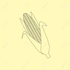 黄色いトウモロコシ穂軸と葉が黄色の背景上に分離します 野菜 ベクトルの図 のイラスト素材 ベクタ Image 53932371