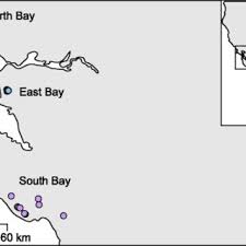 Im frühling stand seine karriere auf der kippe. Pdf Intraspecific Variation In The Skin Associated Microbiome Of A Terrestrial Salamander