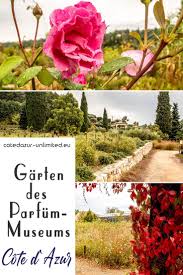 Garten Der Cote D Azur In Mouans Sartoux Zwischen Grasse Und Cannes In 2020 Ausflug Botanischer Garten Cannes