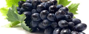 Image result for Vitaceae