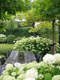 Von gartenhortensien gibt es verschiedene arten und sorten. 900 Hortensien Garten Ideen In 2021 Hortensien Garten Garten Hortensien