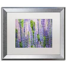Ophelia Co Blue Pink Lupine Field Framed Photographic Print In 2020 Art Hobbies Ophelia Co Ophelia