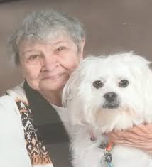 The Sea Gull The Sea Gull