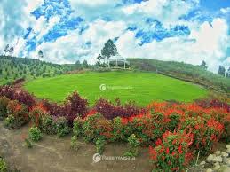 Maybe you would like to learn more about one of these? Sapo Juma Tongging Karo Sumatera Utara Taman Indah Penuh Warna Ragamwisata